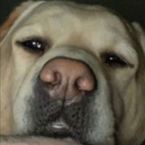 Meet your Posher, Gonzales